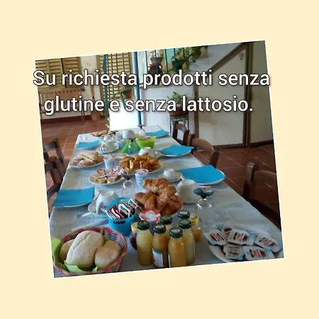 Paui Bed & Breakfast