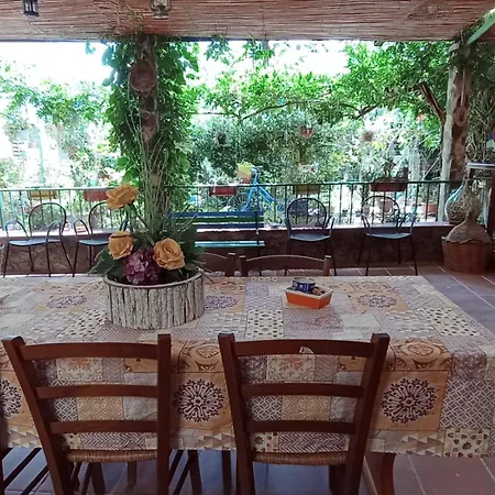 Bed & Breakfast Paui