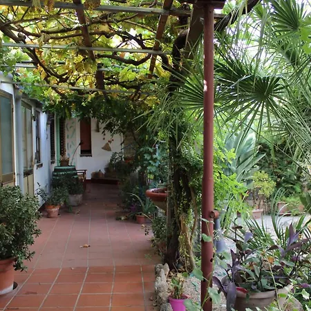 Alojamento de Acomodação e Pequeno-almoço Paui