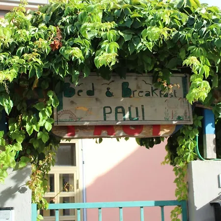 Paui 4*