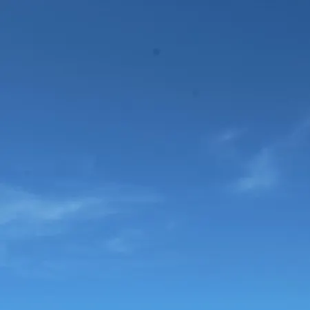 Paui *