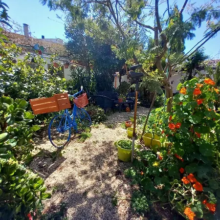 Bed & Breakfast Paui Cabras