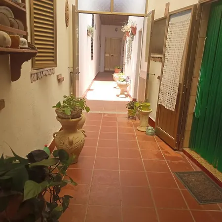 Paui 4*