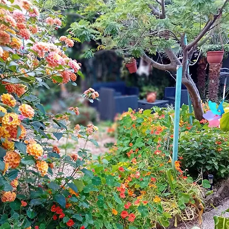 Nocleg ze śniadaniem Paui