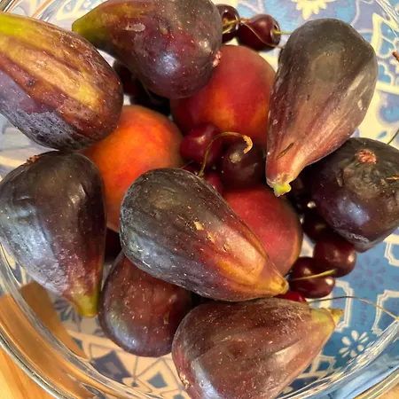 فندق مبيت وإفطار Paui